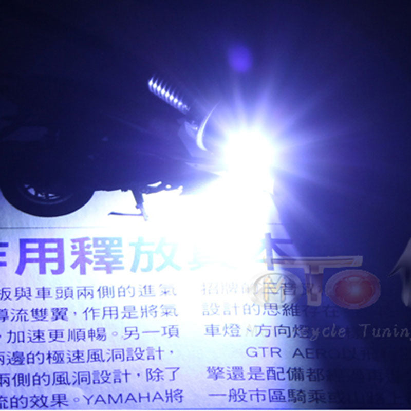 LED License Plate Screw Bolt Lights 12V 2 Pack