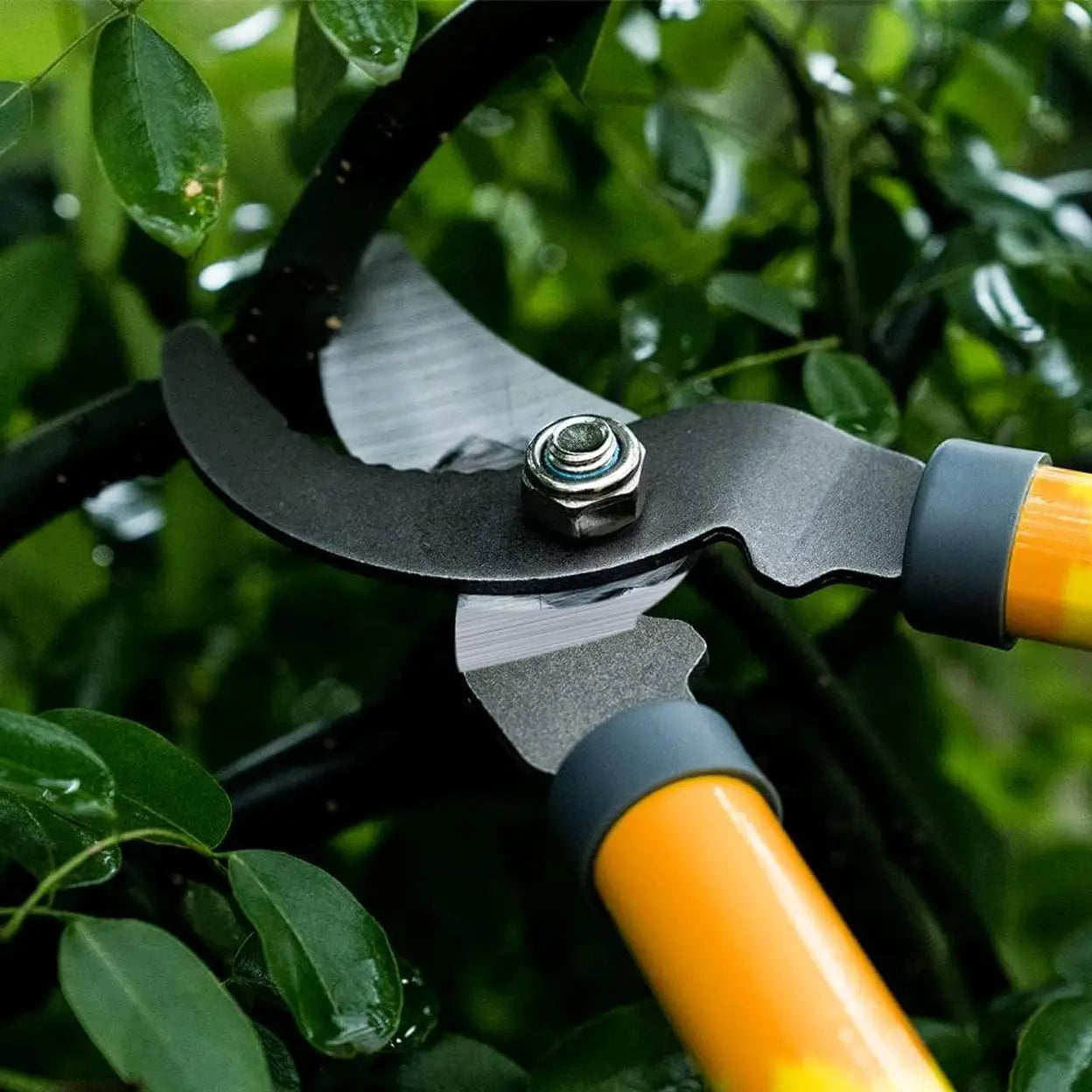 AIRAJ 40cm Tree Loppers, Bypass Garden Lopper with 3.5cm Cutting Capacity