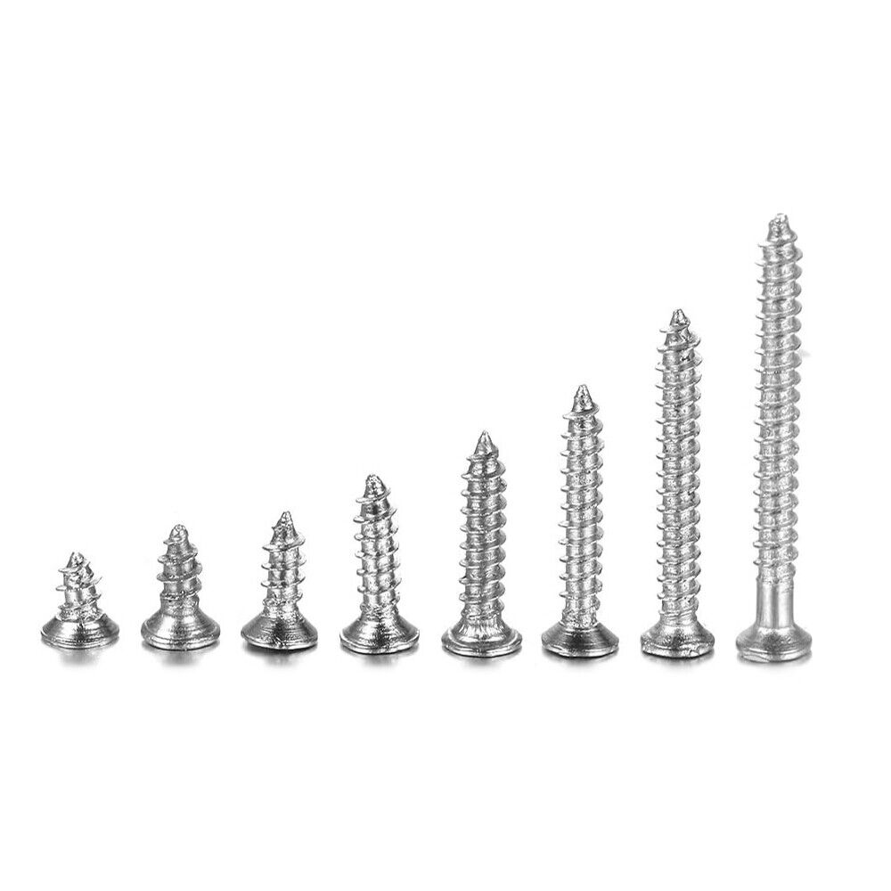800 PCS M2 Stainless Steel Wood Screw Assortment Self Tapping Small Metal Screws